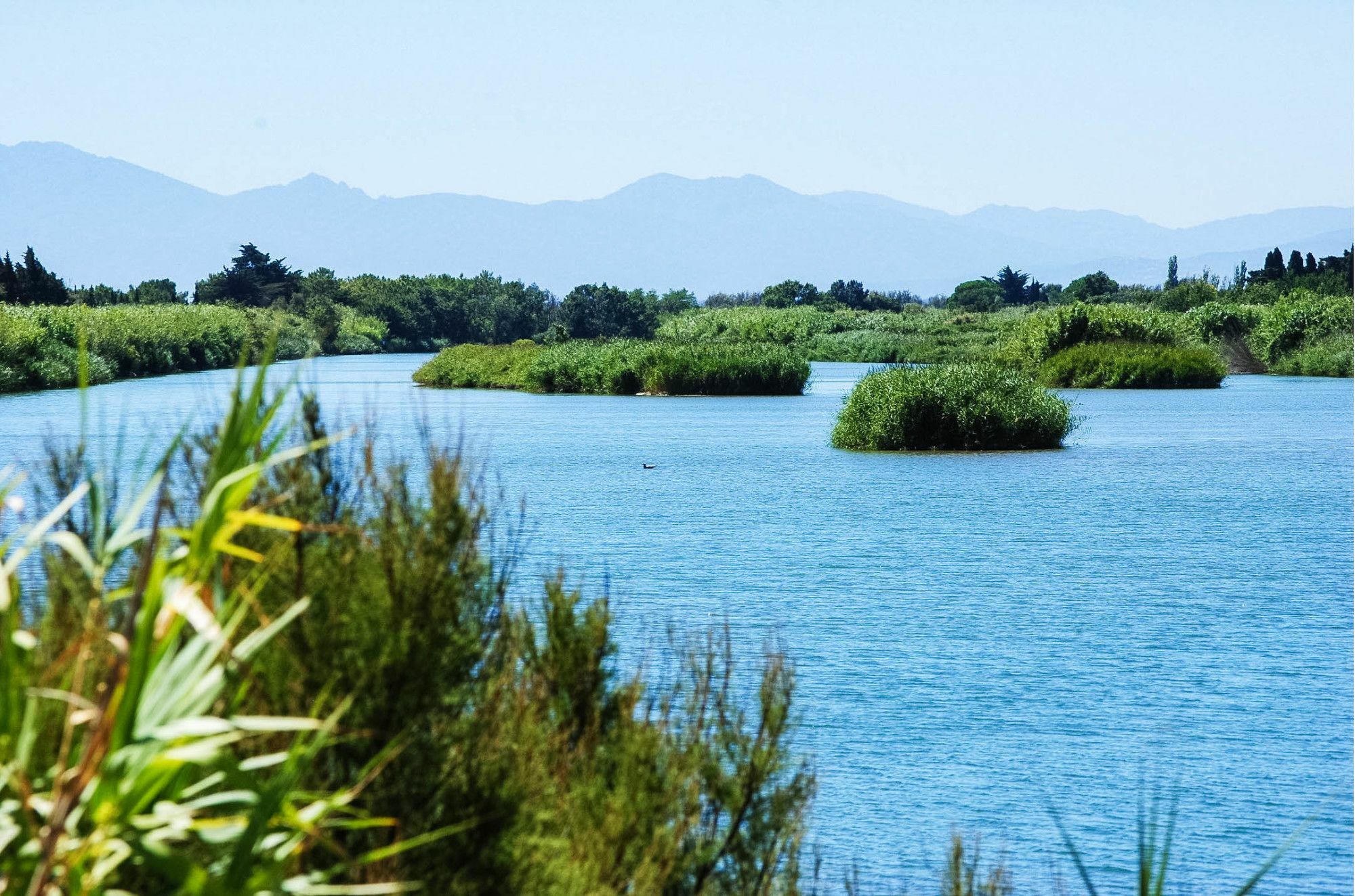 Ibis Styles Perpignan Canet En Roussillon Buitenkant foto